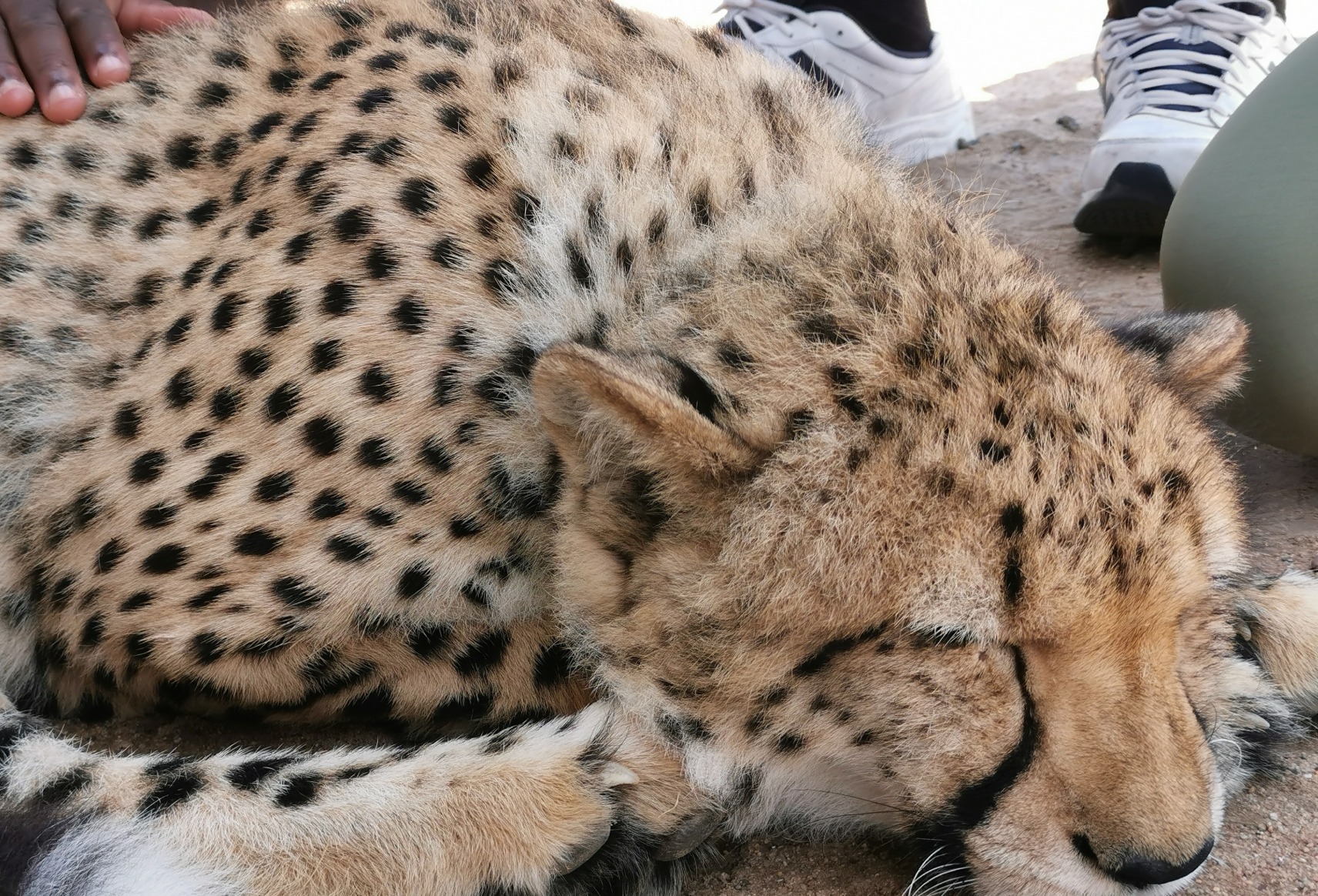 gallery/IMG_20200221_120627