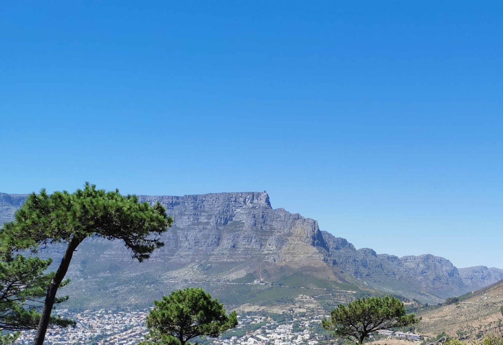 gallery/IMG_20200219_112717