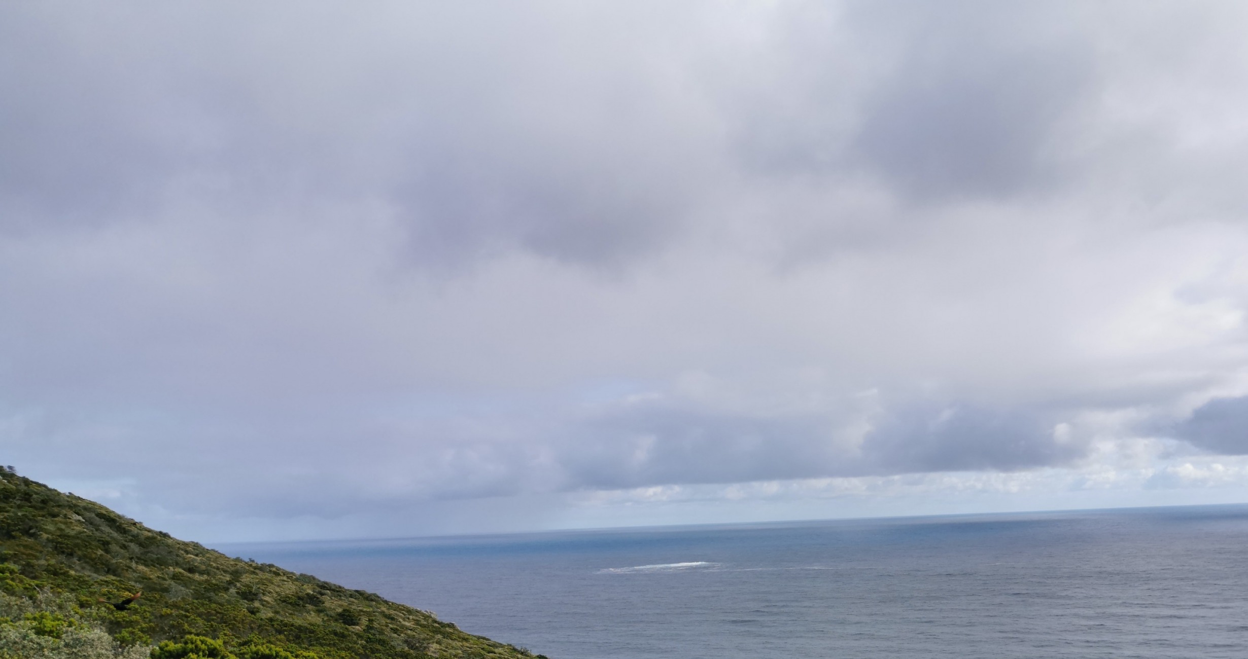 gallery/IMG_20191107_170329